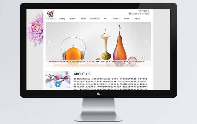 上海旭梅香精有限公司 网站设计